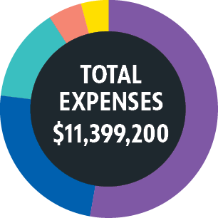 A graph of total expenses